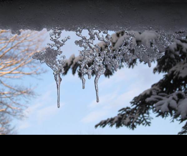 The Frost