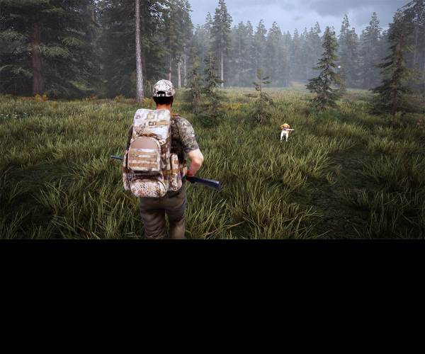 Hunting Simulator 2