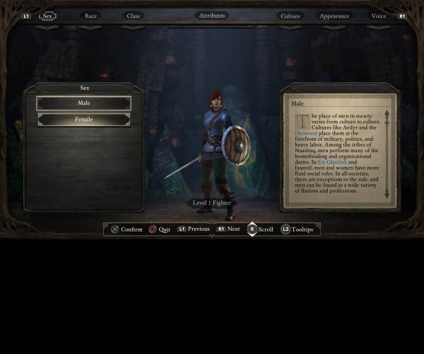 Pillars of Eternity: Complete Edition