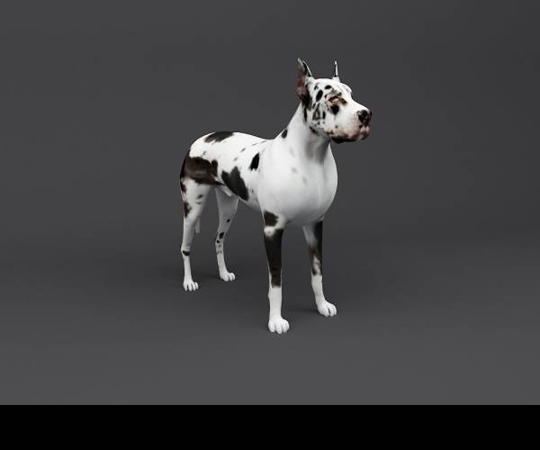 Dogz 3D