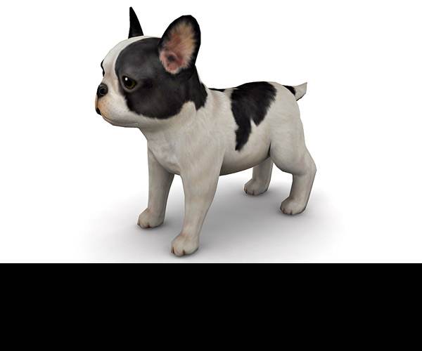 Dogz 3D