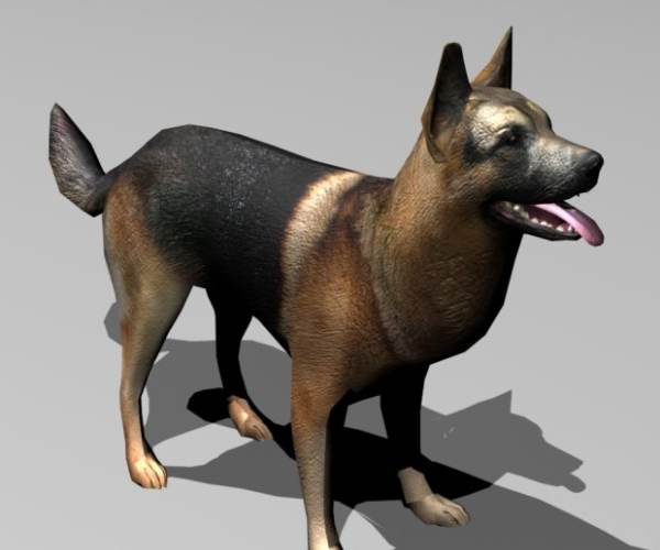 Dogz 3D