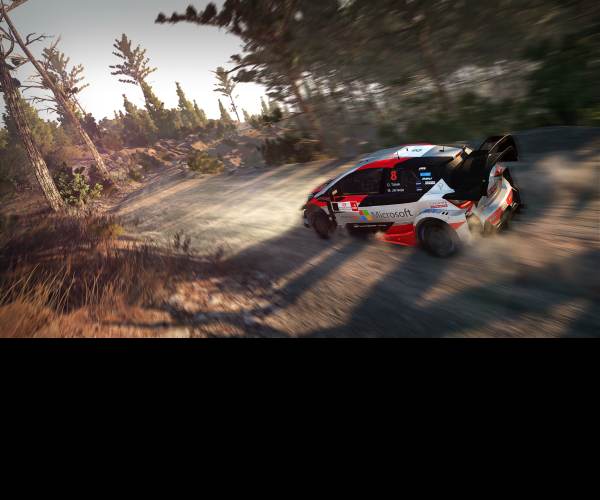 WRC 8 FIA World Rally Championship