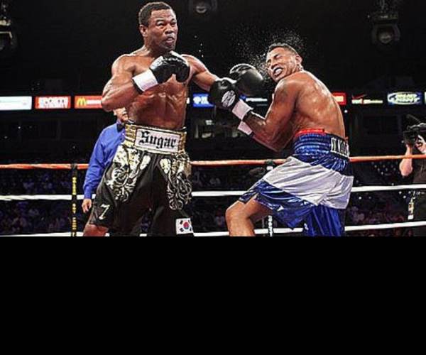 Knockout Boxing