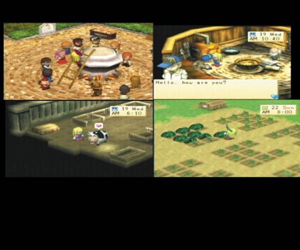 Harvest Moon: Boy and Girl