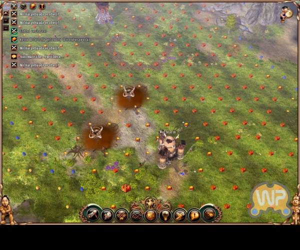 Settlers 2: Next Generation - The Vikings