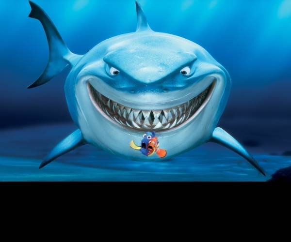 Shark Revolution: Finding Neo
