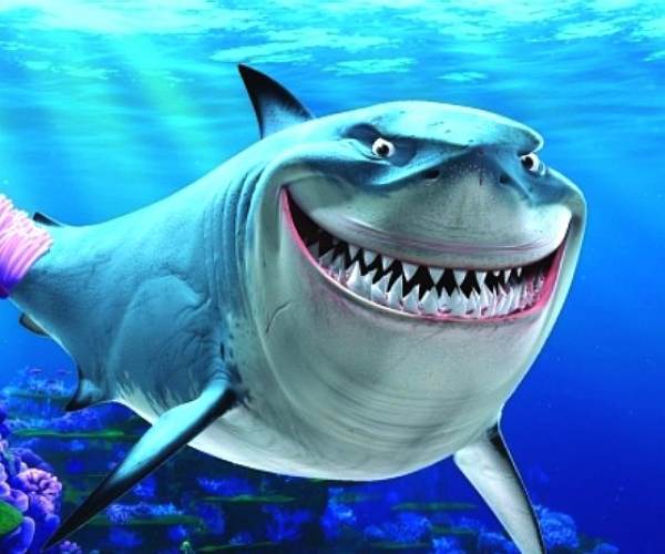 Shark Revolution: Finding Neo