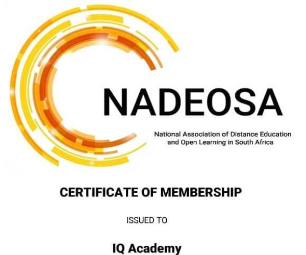 IQ Academy