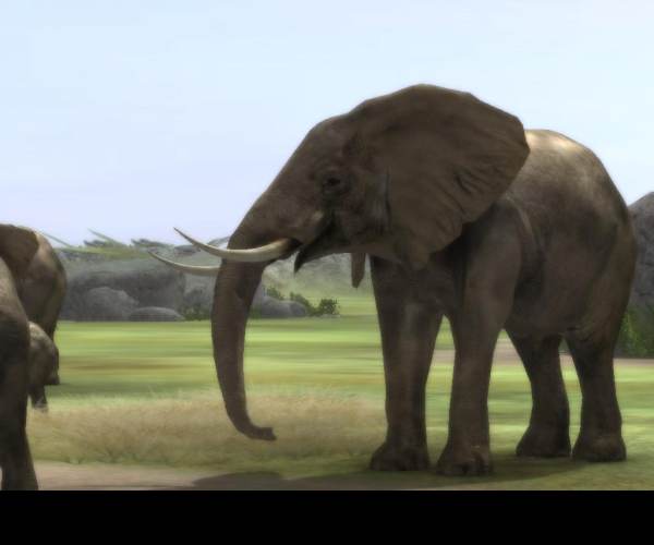 Safari Photo Africa: Wild Earth