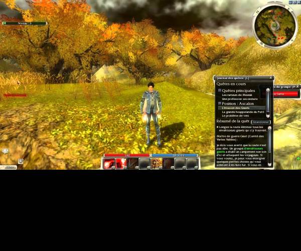 Guild Wars