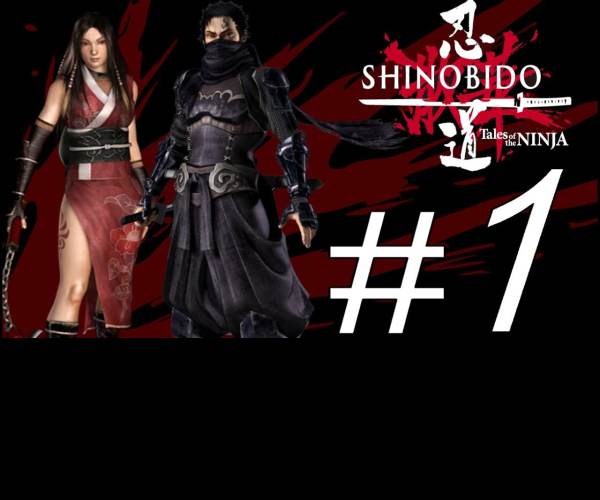 Shinobido Way of the Ninja (Imashime)
