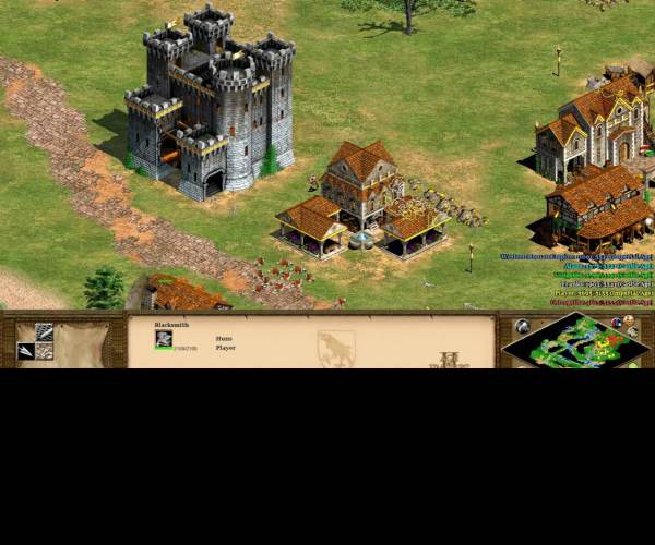 Age of Empires 2 (Java)
