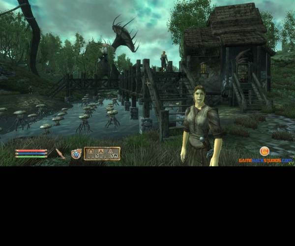 The Elder Scrolls 4: Oblivion (X360)