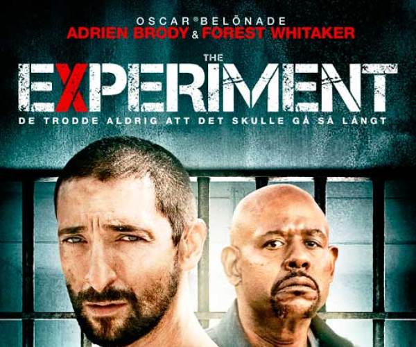 The Experiment