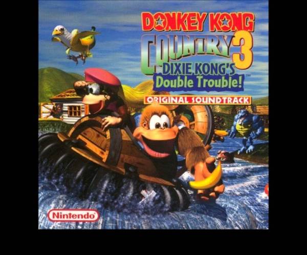 Donkey Kong Country 3