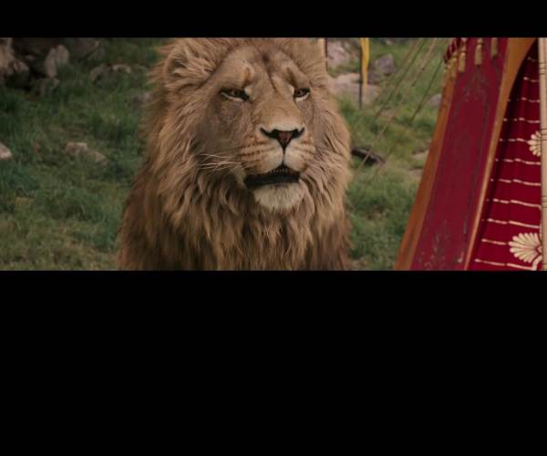 The Chronicles of Narnia: The Lion, The Witch and The Wardrobe