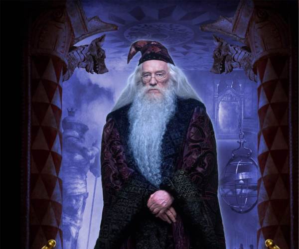 Harry Potter a ohnivý pohár