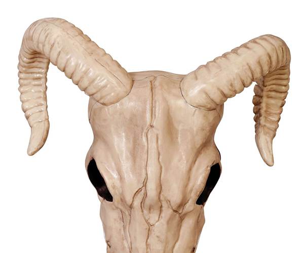 Bone