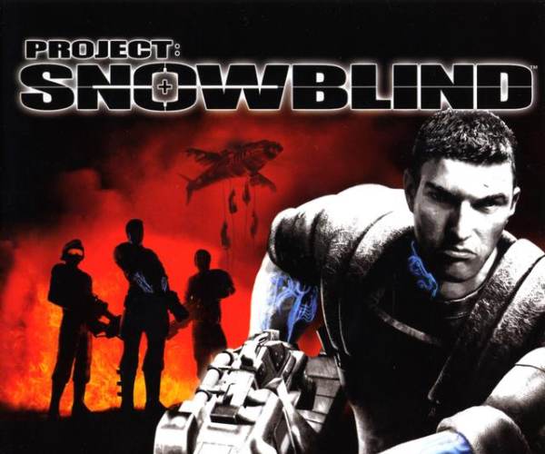 Project : Snowblind (PS2)
