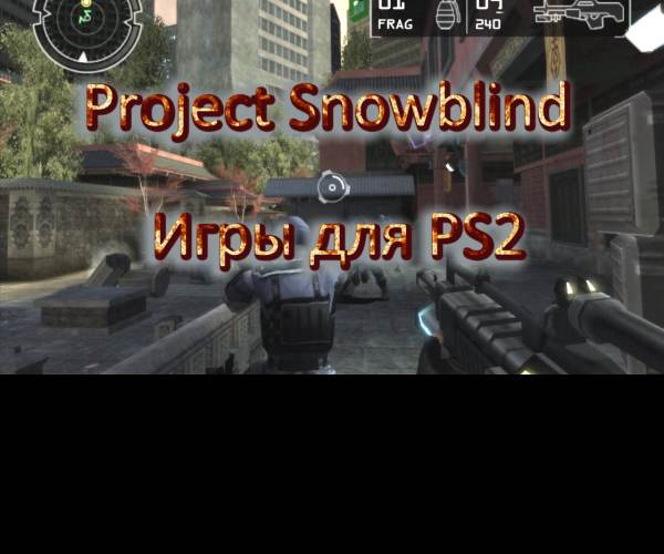 Project : Snowblind (PS2)