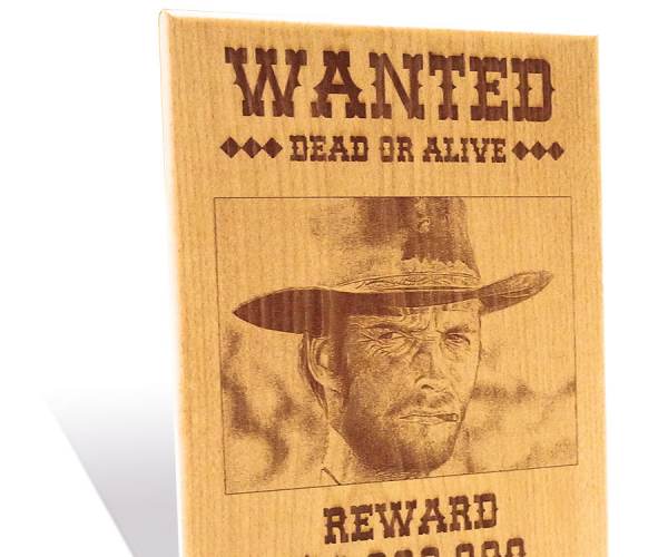 Wanted: Dead or Alive