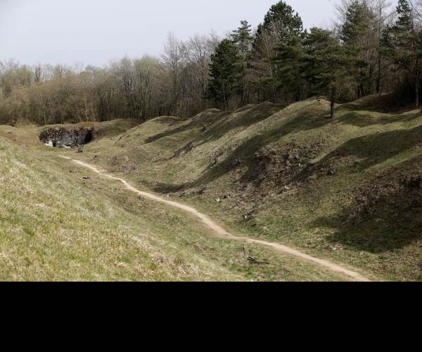 WWI Battlefields