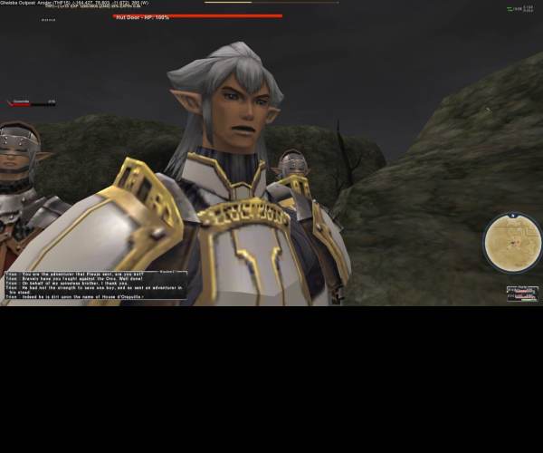 Final fantasy XI Online