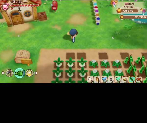STORY OF SEASONS: Friends of Mineral Town