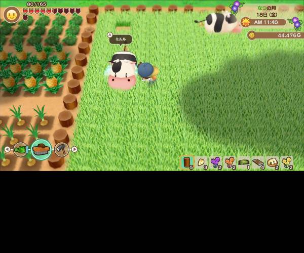 STORY OF SEASONS: Friends of Mineral Town