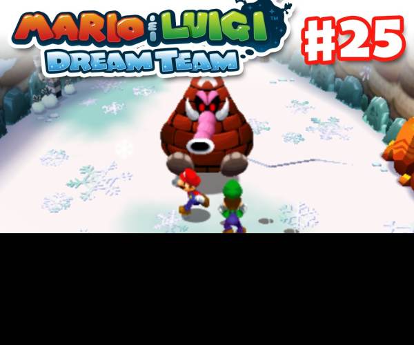 Mario and Luigi: Dream Team