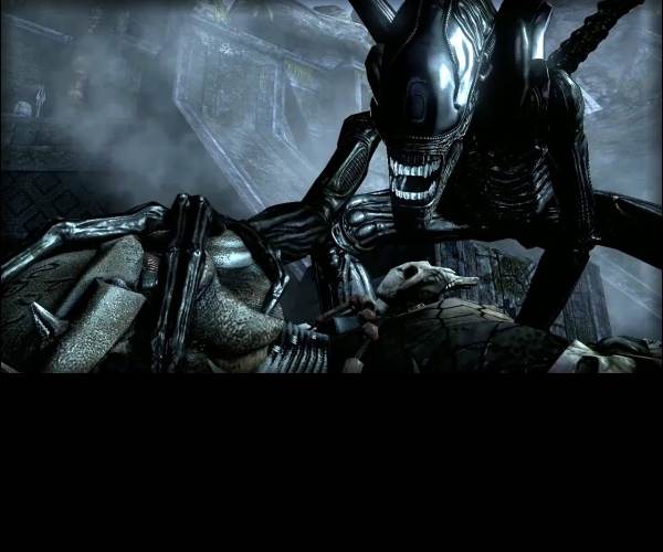 Aliens vs Predator