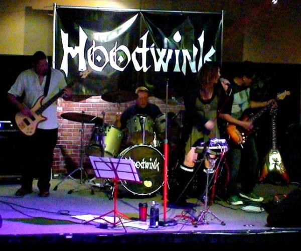 Hoodwink