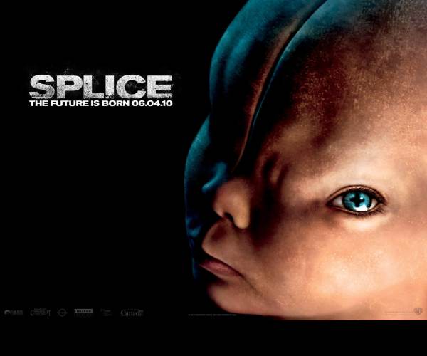 Splice