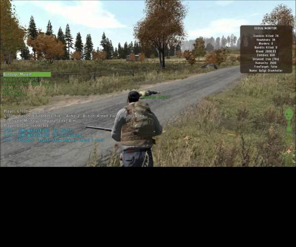 ArmA 2: DayZ mod