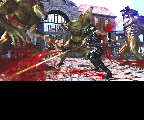 Ninja Gaiden 2
