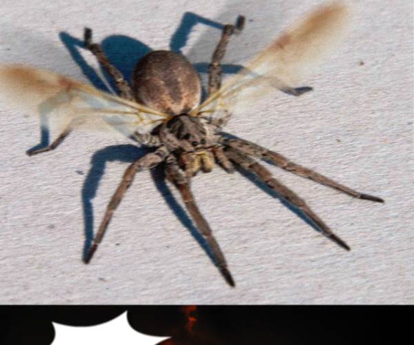 Kill It With Fire