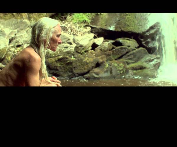 The Survivalist