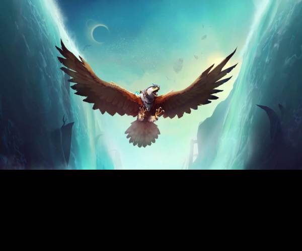 Falconeer