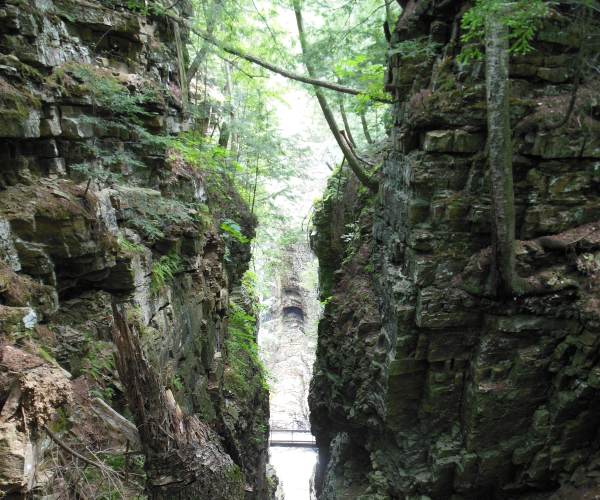 Chasm