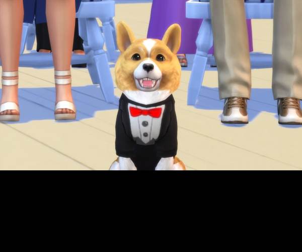 The Sims 4: Cats & Dogs