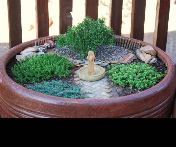 Miniature Garden