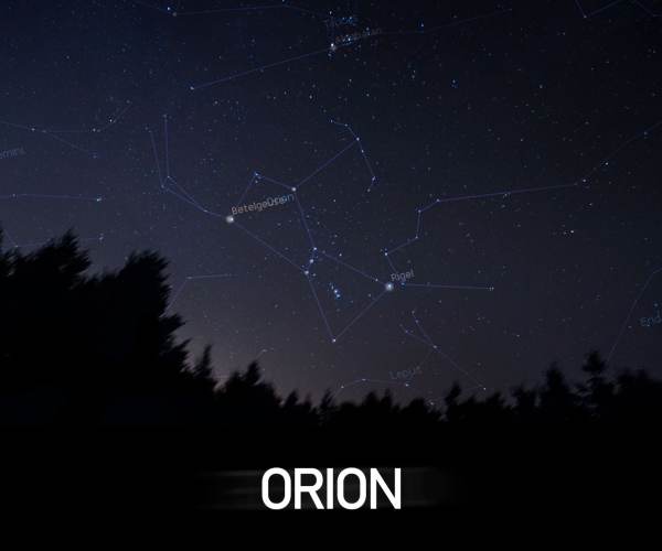 ORION