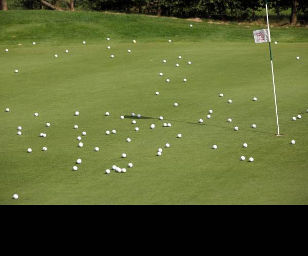 WHAT THE GOLF?