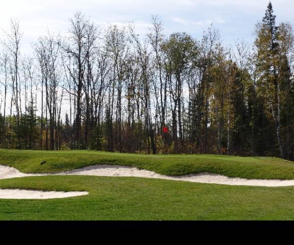 WHAT THE GOLF?