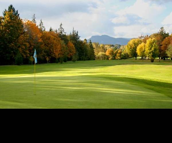 WHAT THE GOLF?