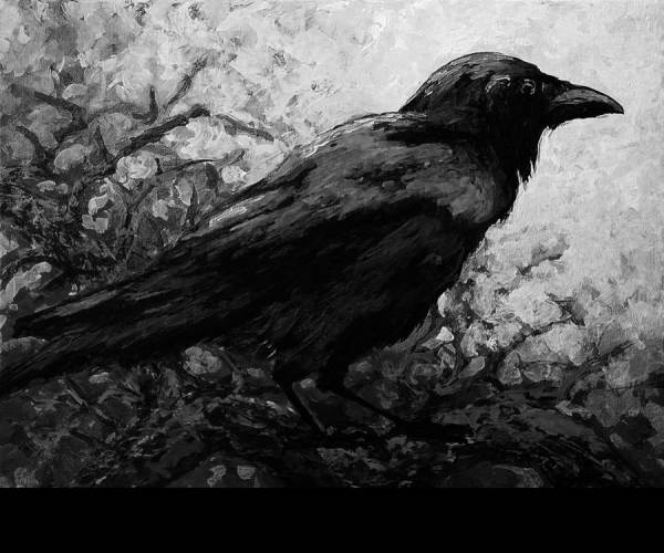 The Raven