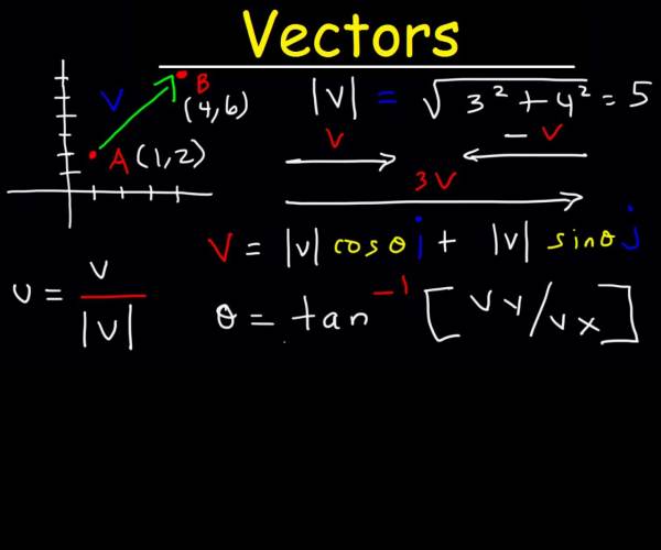 Vector