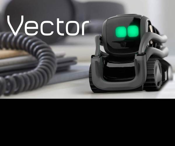 Vector