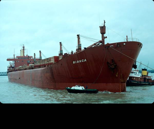 carGO